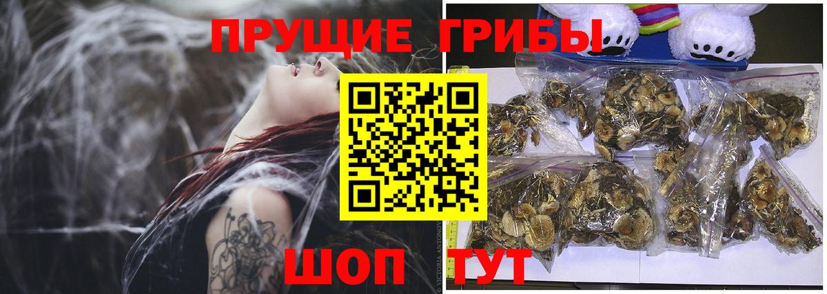 Мценск  Галлюциногенные грибы Magic Shrooms  Вход с VPN  Псилоцибиновые грибы Psilocybine cubensis 